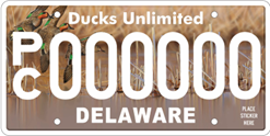 Keep Delaware Beautiful License Plate